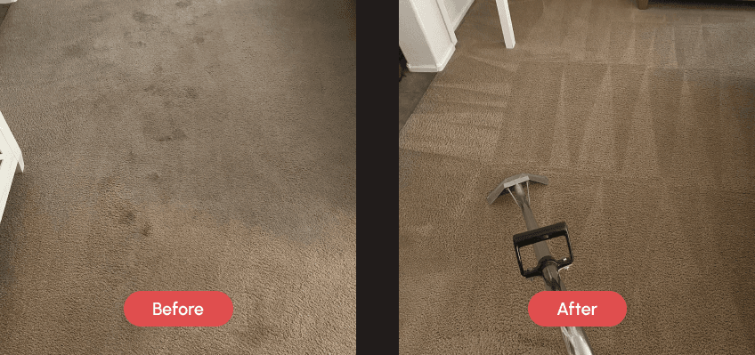 Before and after comparison showing a dirty, stained brown carpet on the left, and a visibly cleaner brown carpet with cleaning stripes and a carpet cleaning tool on the right.