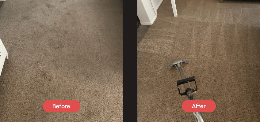 Before and after comparison showing a dirty, stained brown carpet on the left, and a visibly cleaner brown carpet with cleaning stripes and a carpet cleaning tool on the right.