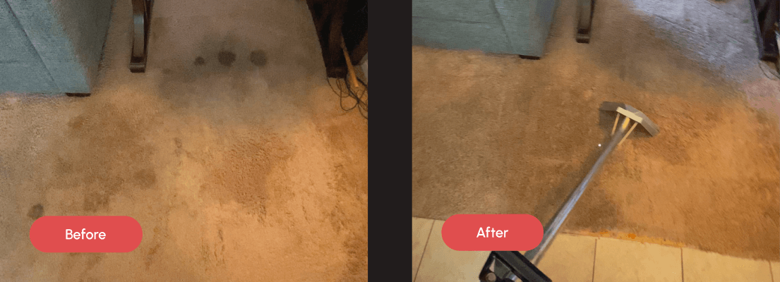 Before and after comparison of a light brown carpet, showing dark stains on the left and a significantly cleaner carpet being cleaned by a wand on the right.