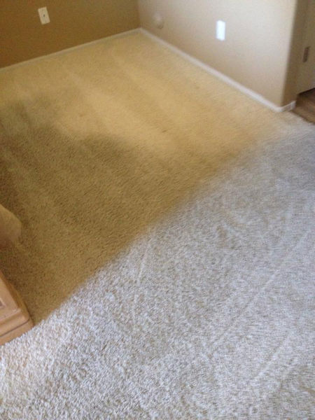 carpet-1-before