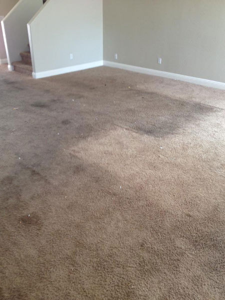 carpet-2-before