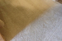 carpet-1-before