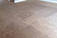 carpet-2-after